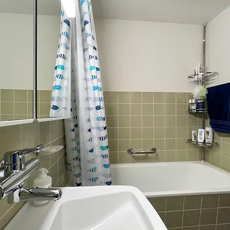 Classic Swiss Mountain Panorama شقة